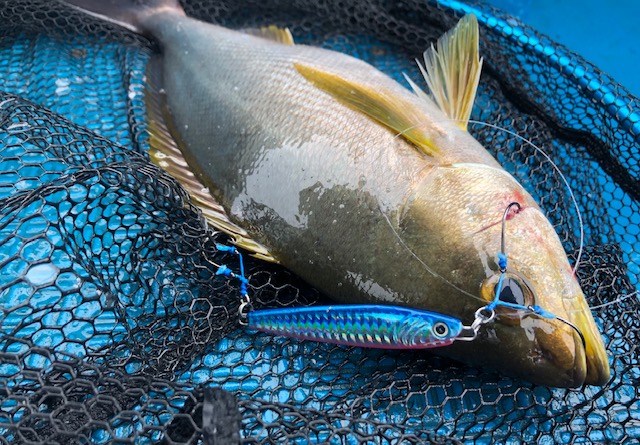 Super Light Jigging: A Complete Guide to Mastering This Exciting Techn –  www.