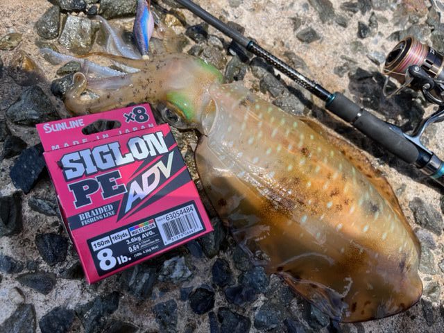 SUNLINE Ika Metal Leader SV-1 Ester [Magical Pink] 30m #2.5 (10lb