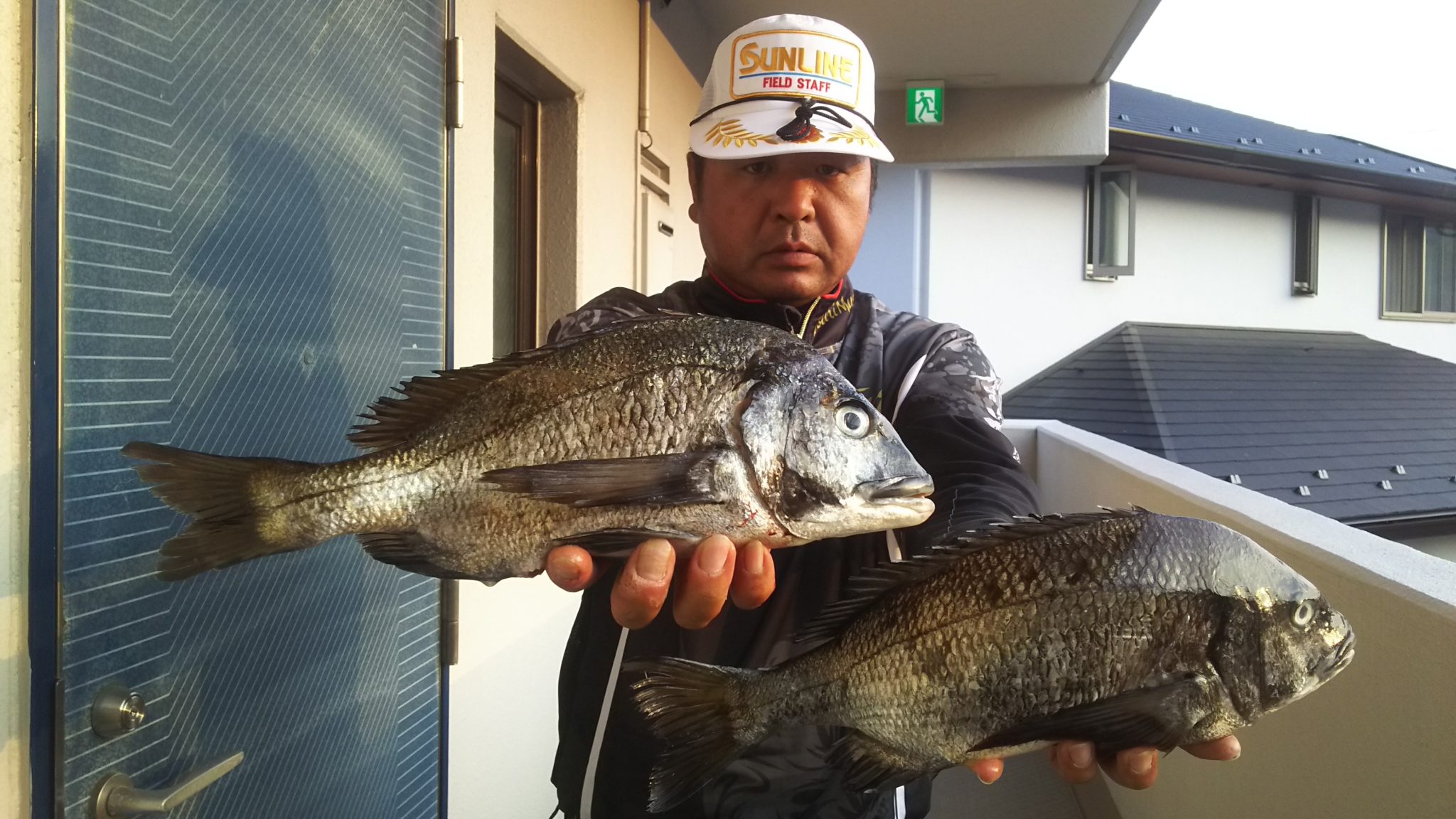 釣行レポート サンライン