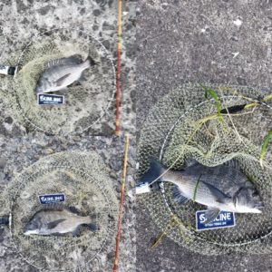 5c273e90fe10b6301fd9c64ac1cd60