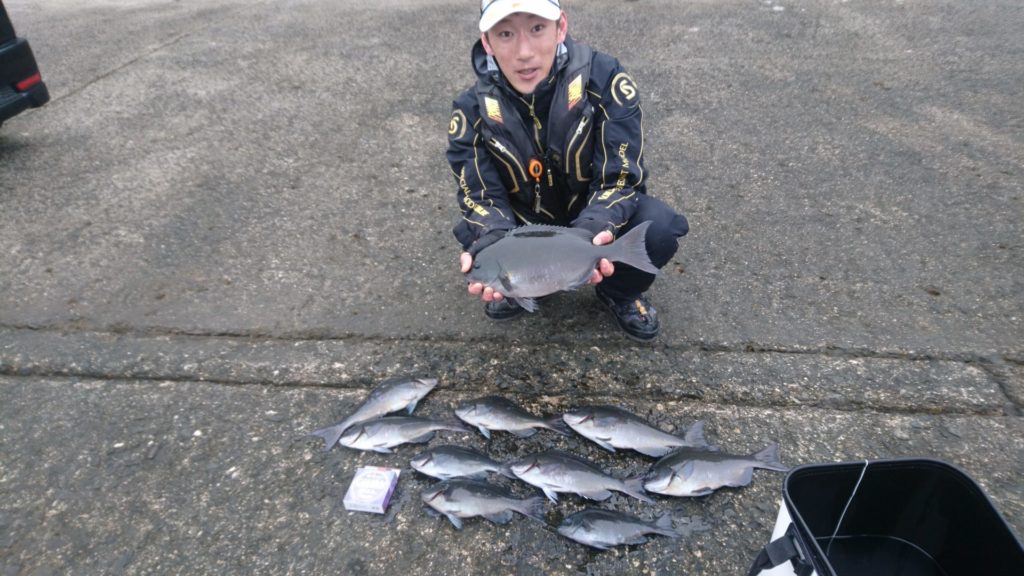 島根半島尾長グレ釣行 サンライン