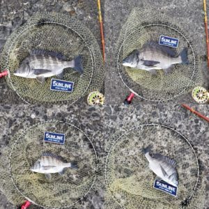 7fadf4aca32f32a5a369e82c801a56